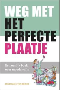 Annemarie ten Brinke Weg met het perfecte plaatje -   (ISBN: 9789033802096)