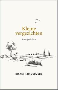 Rikkert Zuiderveld Kleine vergezichten -   (ISBN: 9789033802577)