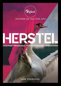 Mark Stoorvogel Herstel -   (ISBN: 9789033834356)