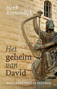 Henk Binnendijk Het geheim van David -   (ISBN: 9789043539173)