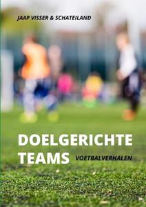Jaap Visser & Schateiland Doelgerichte teams -   (ISBN: 9789402156478)