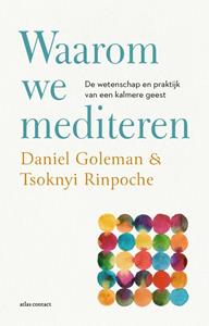 Daniël Goleman, Tsoknyi Rinpoche Waarom we mediteren -   (ISBN: 9789045045122)