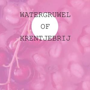 Jan Timmer Watergruwel of Krentjebrij -   (ISBN: 9789403689265)