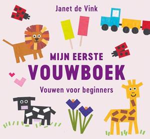 Janet de Vink Mijn eerste vouwboek -   (ISBN: 9789043922333)