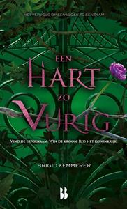 Brigid Kemmerer Een hart zo vurig -   (ISBN: 9789463492324)