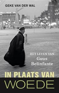 Geke van der Wal In plaats van woede -   (ISBN: 9789045040943)