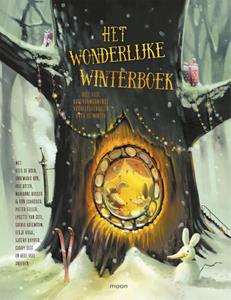 Annemarie Bon Het wonderlijke winterboek -   (ISBN: 9789048849321)