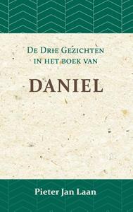 Pieter Jan Laan De Gezichten in het Boek van Daniel -   (ISBN: 9789057195341)