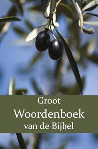 F.J. Domela Nieuwenhuis, P.J. Veth, W. Moll Groot Woordenboek van de Bijbel -   (ISBN: 9789057195457)