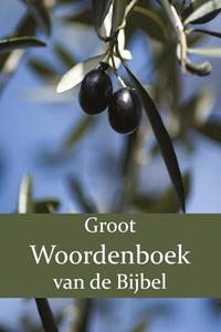 F.J. Domela Nieuwenhuis, P.J. Veth, W. Moll Groot Woordenboek van de Bijbel O-Z -   (ISBN: 9789057195464)