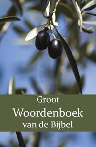 F.J. Domela Nieuwenhuis, P.J. Veth, W. Moll Groot Woordenboek van de Bijbel A-H -   (ISBN: 9789057195563)