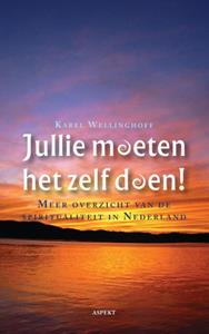 Karel Wellinghoff Jullie moeten het zelf doen! -   (ISBN: 9789464622188)