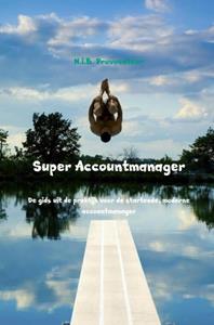 N.I.B. Provocateur Super Accountmanager -   (ISBN: 9789463670531)