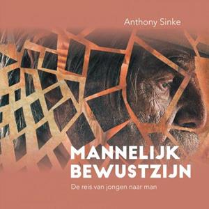 Anthony Sinke Mannelijk Bewustzijn -   (ISBN: 9789464053913)