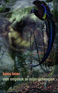 Kees Boer Een ongeluk in mijn geheugen -   (ISBN: 9789402104042)