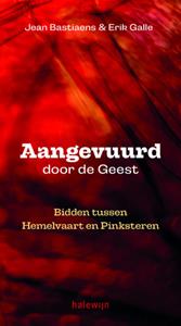 Erik Galle, Jean Bastiaens Aangevuurd door de geest -   (ISBN: 9789085285984)