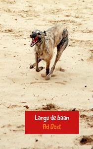 Ad Dost Langs de baan -   (ISBN: 9789402141894)