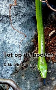 D.M. Sebastiaans Tot op de bodem -   (ISBN: 9789402142358)