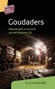 H. van den Belt Goudaders -   (ISBN: 9789088972218)