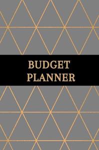 Gold Arts Books Budget planner - Kasboek - Huishoudboekje - Budgetplanner -   (ISBN: 9789464483901)