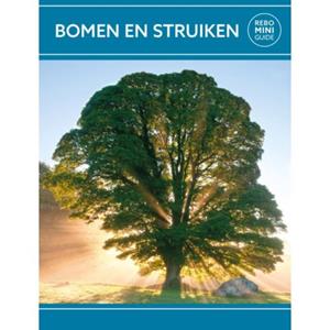 Bomen En Struiken - Rebo Mini Guide - Hanneke van Dijk