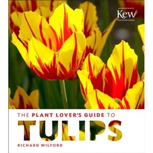 Workman Plant Lover's Guide To Tulips - Richard Wilford