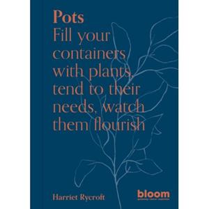 Frances Lincoln Bloom Magazine Pots - Harriet Rycroft