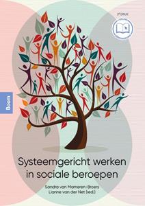 Sandra Vam Mameren-Broers Systeemgericht werken in sociale beroepen -   (ISBN: 9789024437900)