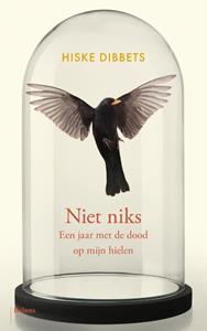 Hiske Dibbets Niet niks -   (ISBN: 9789463822657)