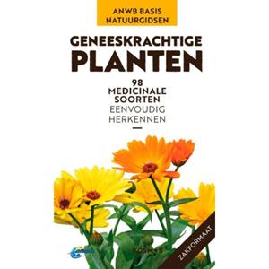 Vbk Media Anwb Basis Natuurgids - Geneeskrachtige Planten - Anwb Basis Natuurgids - Eva-Maria Dreyer