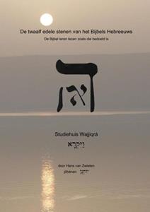 Hans van Zwieten De twaalf edele stenen van het Bijbels Hebreeuws -   (ISBN: 9789464801705)