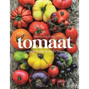 20 Leafdesdichten Bv Bornmeer Tomaat - Angelo Dorny