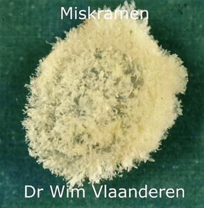 Dr. Wim Vlaanderen Miskramen -   (ISBN: 9789464431414)