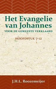 J.H.L. Roozemeijer Het Evangelie van Johannes voor de Gemeente verklaard 2 -   (ISBN: 9789057197185)