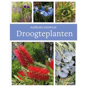 20 Leafdesdichten Bv Bornmeer Droogteplanten - Aurélien Davroux