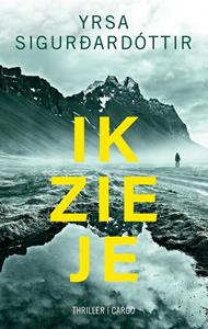 Yrsa Sigurdardottir Zwart ijs 1 - Ik zie je -   (ISBN: 9789403129792)