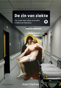 Alain Verheij De zin van ziekte -   (ISBN: 9789045050317)