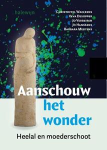 Jo Hanssens Aanschouw het wonder -   (ISBN: 9789085287049)