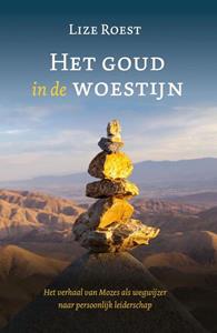 Lize Roest Het goud in de woestijn -   (ISBN: 9789033804137)