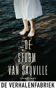 Frank Vork De storm van Sauville -   (ISBN: 9789461098658)
