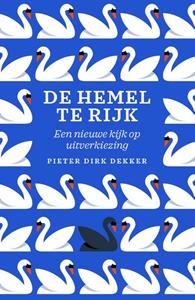 Pieter Dirk Dekker De hemel te rijk -   (ISBN: 9789043538985)