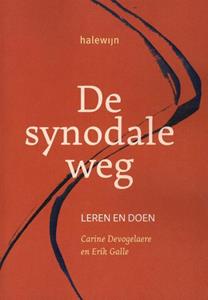 Halewijn De synodale weg -   (ISBN: 9789085286394)