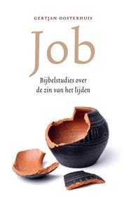 Gertjan Oosterhuis Job (POD) -   (ISBN: 9789043541169)