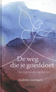 Andries Govaart De weg die je goeddoet -   (ISBN: 9789493220164)