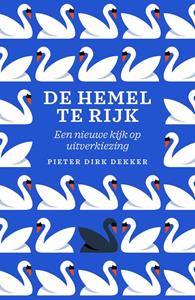 Pieter Dirk Dekker De hemel te rijk -   (ISBN: 9789043538992)