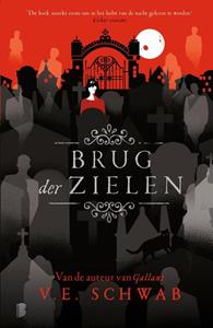 V.E. Schwab Brug der zielen -   (ISBN: 9789402323696)