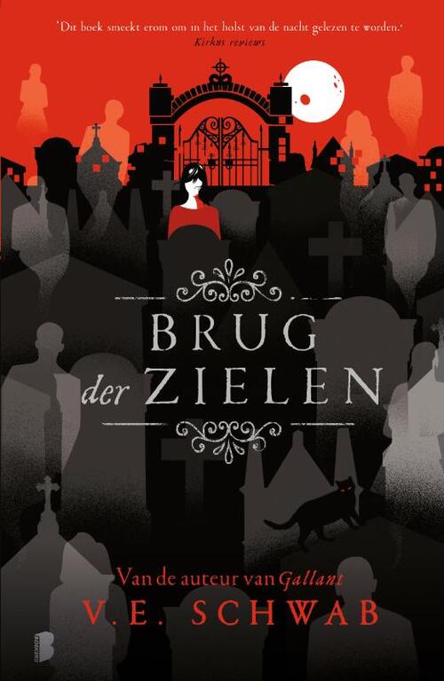 V.E. Schwab Brug der zielen -   (ISBN: 9789022599716)
