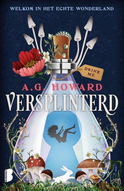 A.G. Howard Versplinterd -   (ISBN: 9789049203641)