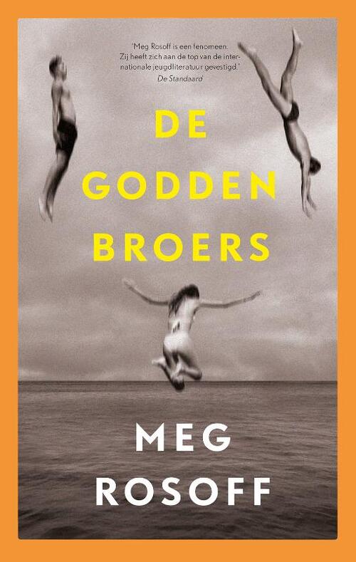 Meg Rosoff De Godden broers -   (ISBN: 9789024592357)