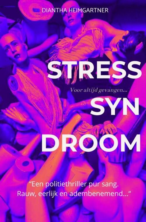 Diantha Heimgartner Stresssyndroom -   (ISBN: 9789403738659)